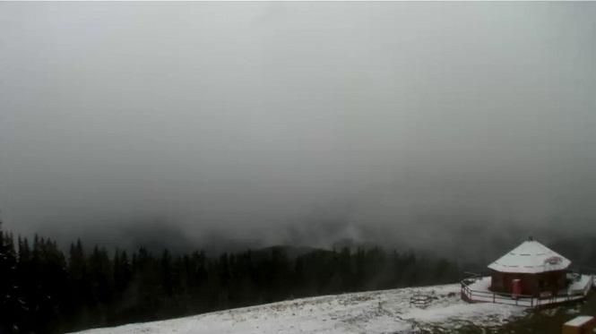 У Карпатах випав перший сніг: відео У Карпатах випав перший сніг: відео