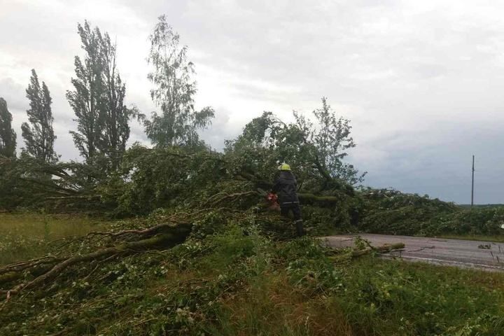 Ливень, огромный град и мокрый снег: какой вред нанесла непогода на Западе Украины