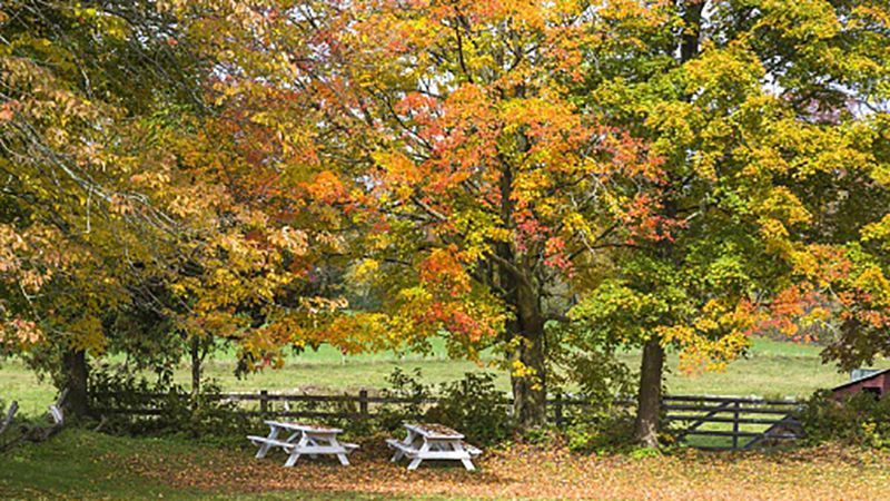 Коли в Україні потеплішає до +30: прогноз синоптиків Коли в Україні потеплішає до +30: прогноз синоптиків