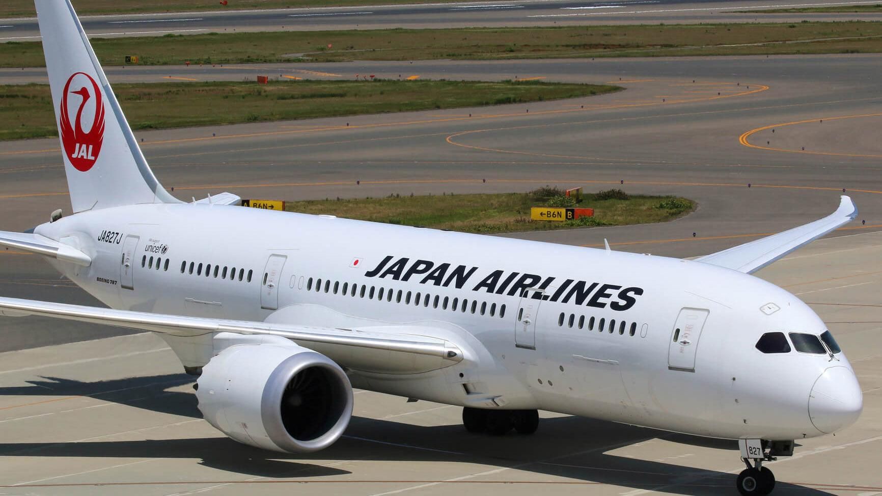В Японии из-за птицы загорелся самолет
