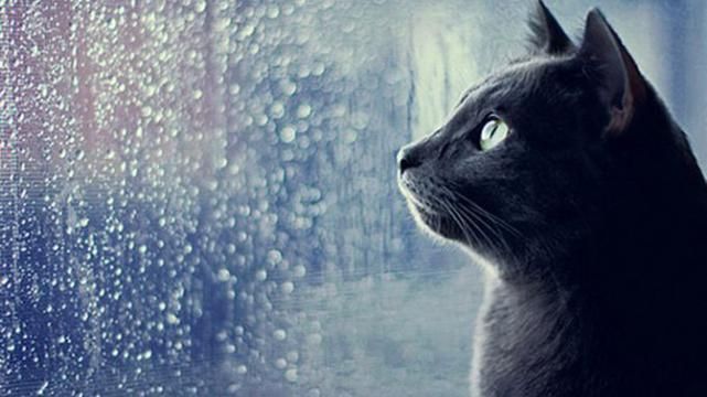 Погода на 7 вересня в Україні: на заході дощі, на півдні до +27 Погода на 7 вересня в Україні: на заході дощі, на півдні до +27