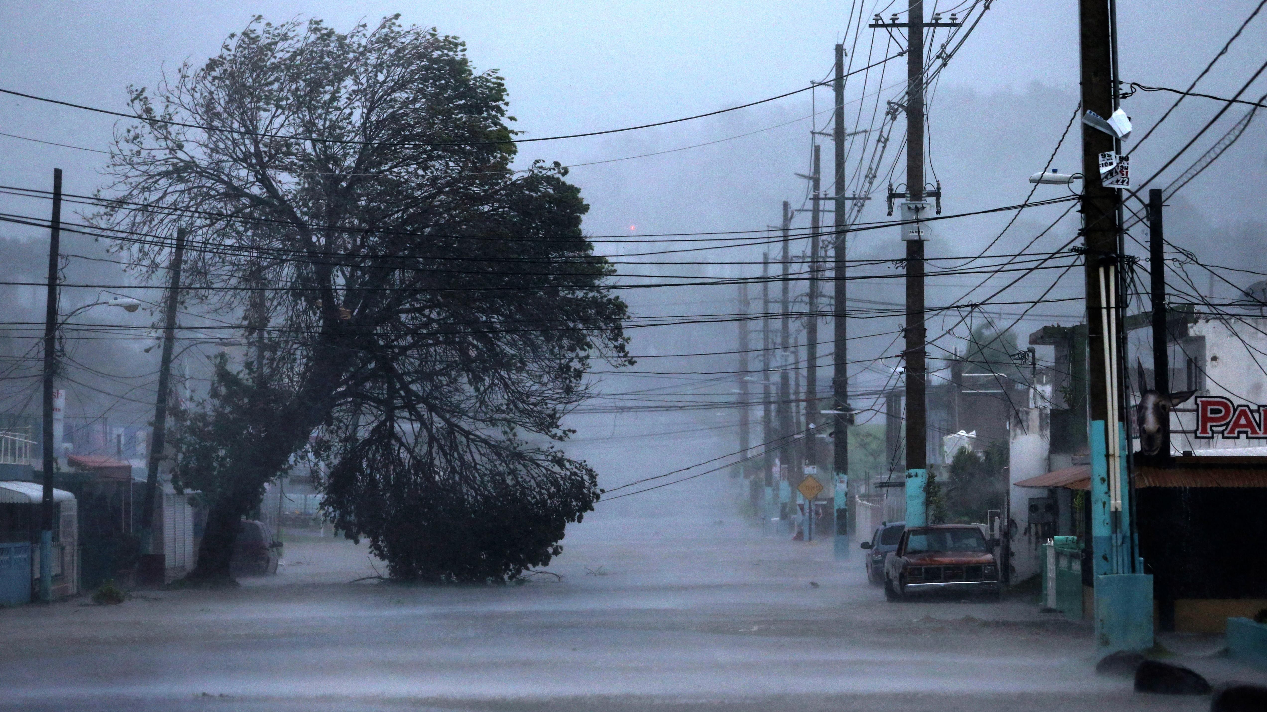 Америке угрожают новые мощные ураганы Америке угрожают новые мощные ураганы