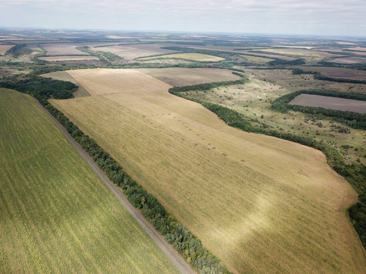 Полиция показала украинские поля с марихуаной с высоты птичьего полета