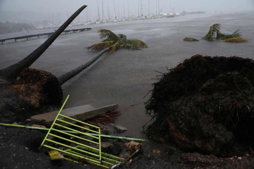 Науковці з’ясували жахаючий факт про ураган "Ірма"
