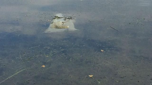 Моторошне вбивство на Херсонщині: у річці виловили мішки з розчленованим тілом