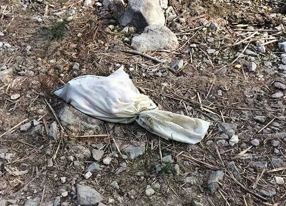 Моторошне вбивство на Херсонщині Моторошне вбивство на Херсонщині