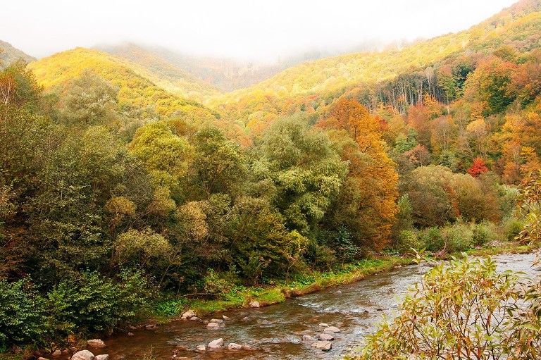 Погода на 10 сентября в Украине: прогноз погоды от синоптиков Погода на 10 сентября в Украине: прогноз погоды от синоптиков