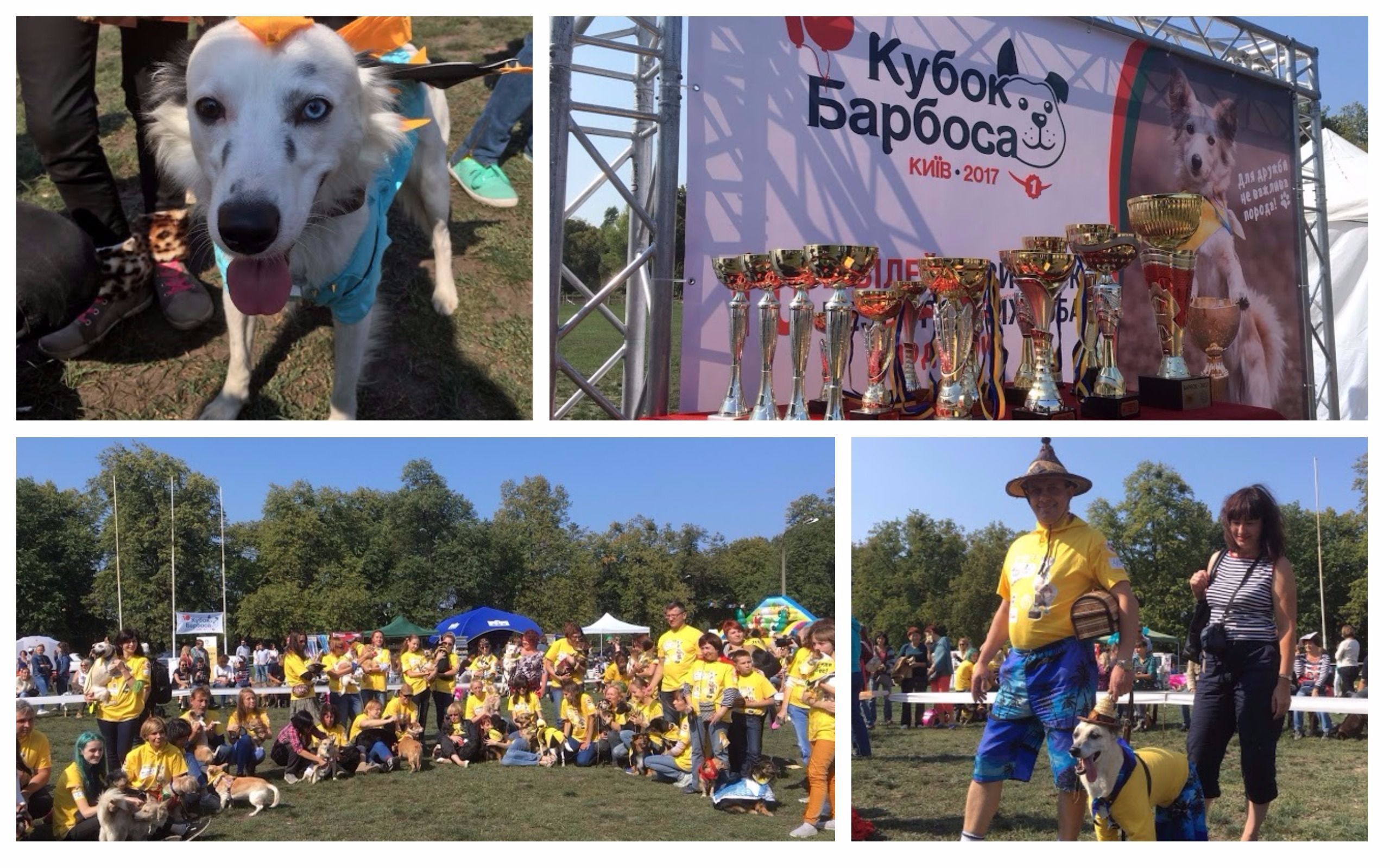 Порода не має значення: у Києві відбувся ювілейний "Кубок Барбоса" Порода не має значення: у Києві відбувся ювілейний "Кубок Барбоса"