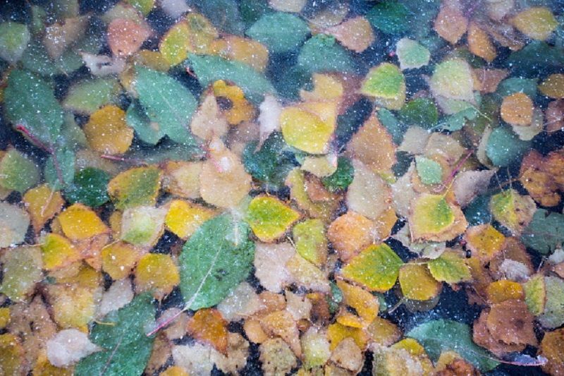 Погода на 13 вересня в Україні: холод та дощі Погода на 13 вересня в Україні: холод та дощі