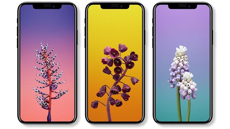 iPhone 8, iPhone 8 Plus и iPhone X: появились официальные фото