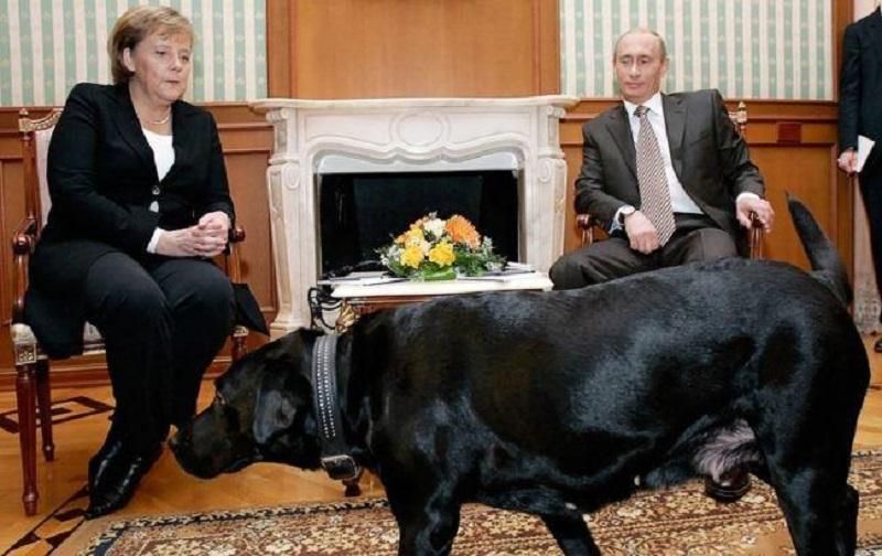 Авторитенте немецкое издание прокомментировало конфуз с Путиным-"собакой"