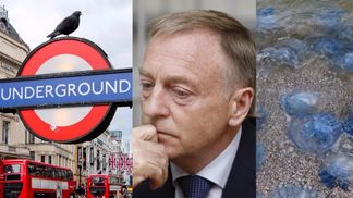 Главные новости 15 сентября: теракт в Лондоне, Лавринович под стражей и нашествие медуз в Одессе