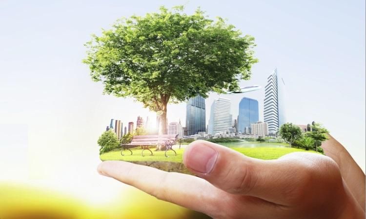 До 2035 року 25% енергії Україна отримуватиме з відновлюваних джерел До 2035 року 25% енергії Україна отримуватиме з відновлюваних джерел