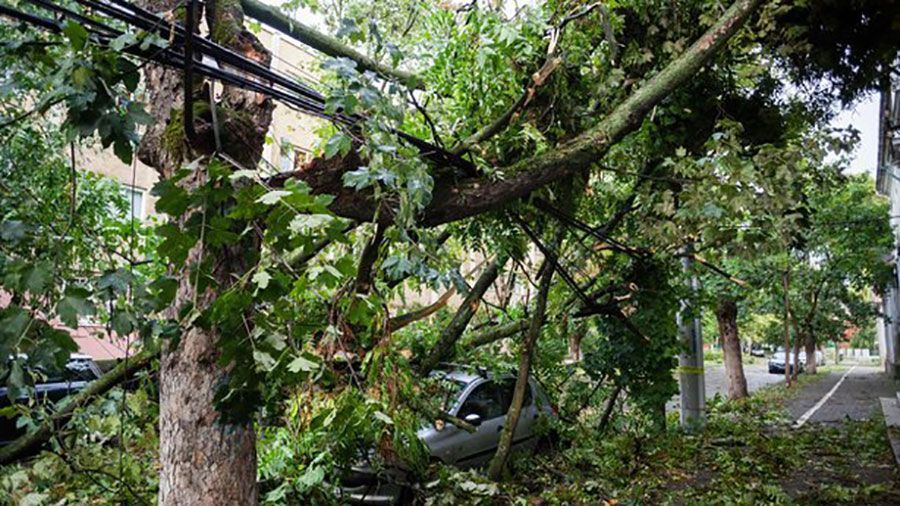 Ураган в Румынии идет на Украину: от урагана погибло 8 человек Ураган в Румынии идет на Украину: от урагана погибло 8 человек