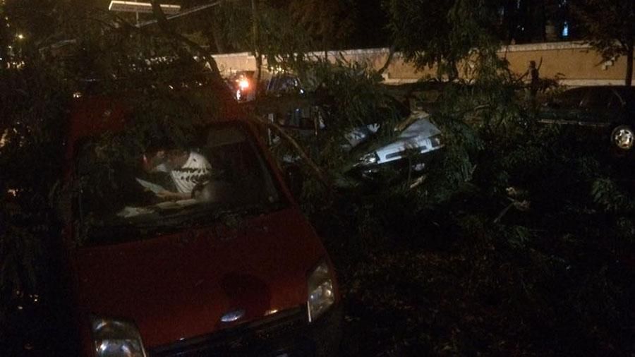 Ураган с Румынии в Черновцах и Закарпатье: жуткие фото Ураган с Румынии в Черновцах и Закарпатье: жуткие фото