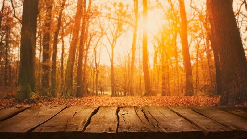 Погода 19 вересня в Україні: від літньої спеки до осінніх злив Погода 19 вересня в Україні: від літньої спеки до осінніх злив