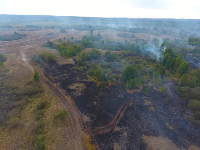 На місці події розгорнуто постійно діючий зведений загін ДСНС