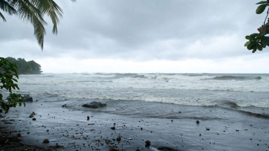 Ураган Мария Доминикана: последствия урагана - Премьер Доминики