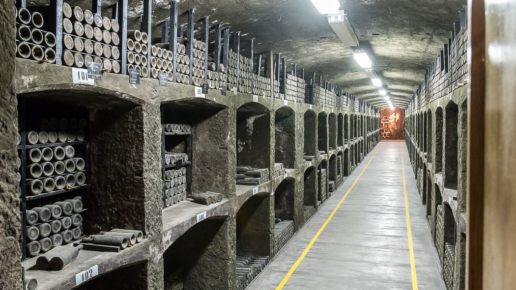 Близький родич шведського короля планує зайнятися виноробною справою в Криму Близький родич шведського короля планує зайнятися виноробною справою в Криму