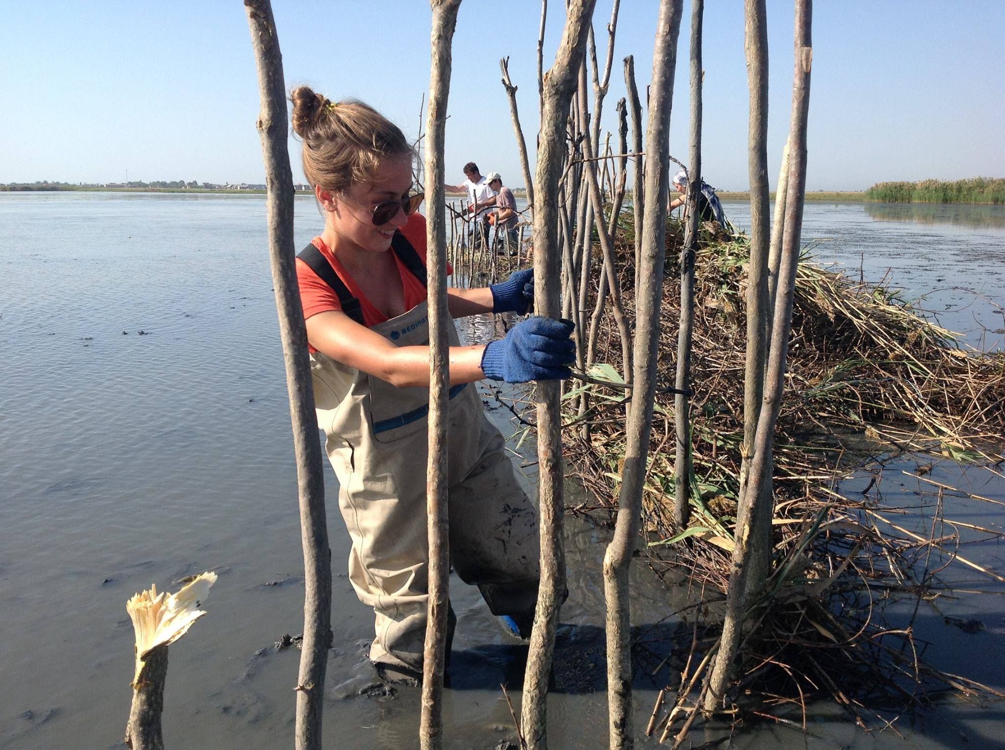 В Одесской области построили искусственный остров для водоплавающих птиц В Одесской области построили искусственный остров для водоплавающих птиц