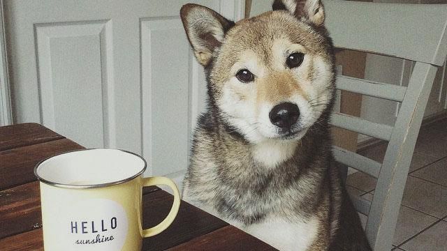 Погода 21 сентября в Украине: резкое похолодание и дожди Погода 21 сентября в Украине: резкое похолодание и дожди