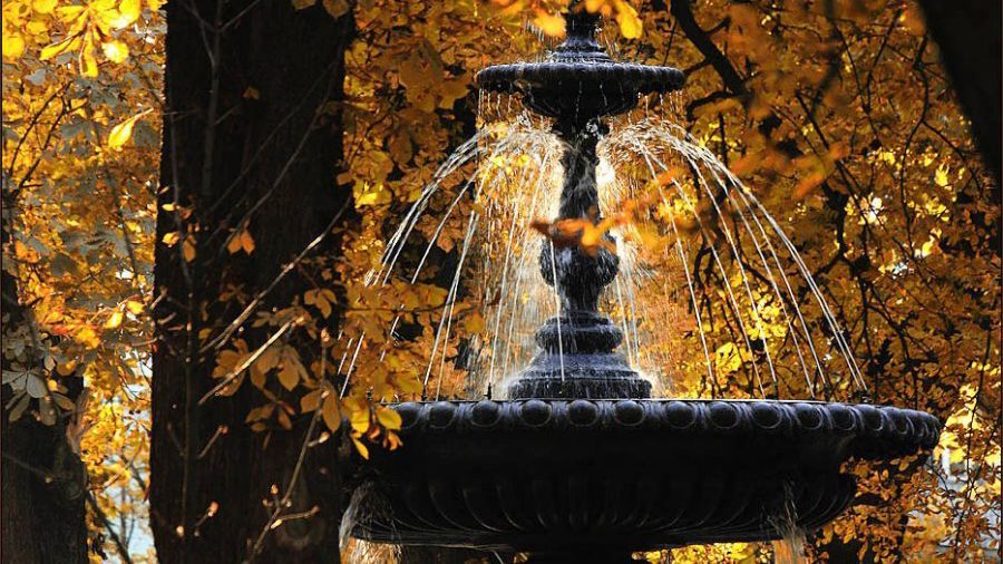 У Києві побито температурний рекорд, що тримався 85 років У Києві побито температурний рекорд, що тримався 85 років