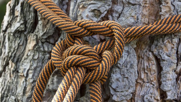 Жінка виховувала чужу дитину, прив'язавши мотузкою до дерева біля кладовища