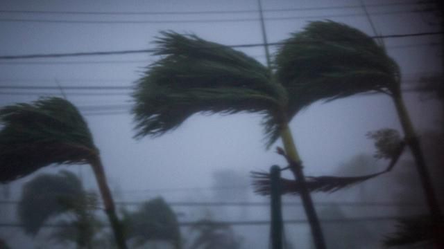 Жертвами урагана "Мария" стали около 30 человек Жертвами урагана "Мария" стали около 30 человек