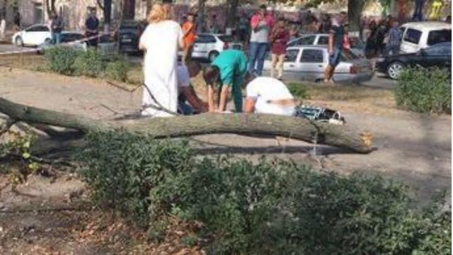 Негода у Дніпрі: в центрі міста дерево вбило дівчину