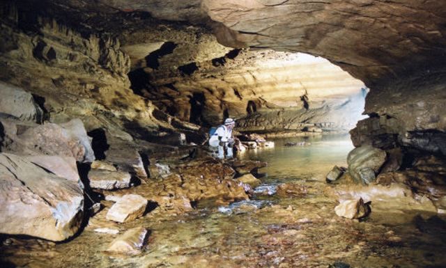 У США студент кілька днів прожив у печері, де його просто забули