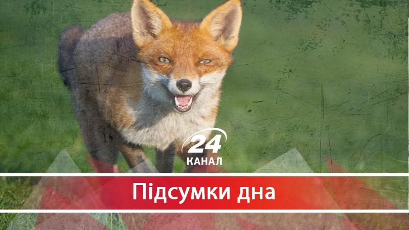У Запорізькій обладміністрації вирішили оздоровити лисиць на 154 мільйони гривень - 25 вересня 2017 - Телеканал новин 24