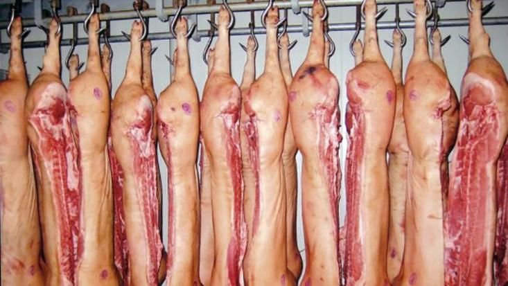 В Україні значно знизилося виробництво свинини: вражаюча статистика