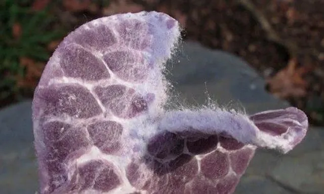 Перед розпалюванням – надірвіть ватний диск Перед розпалюванням – надірвіть ватний диск