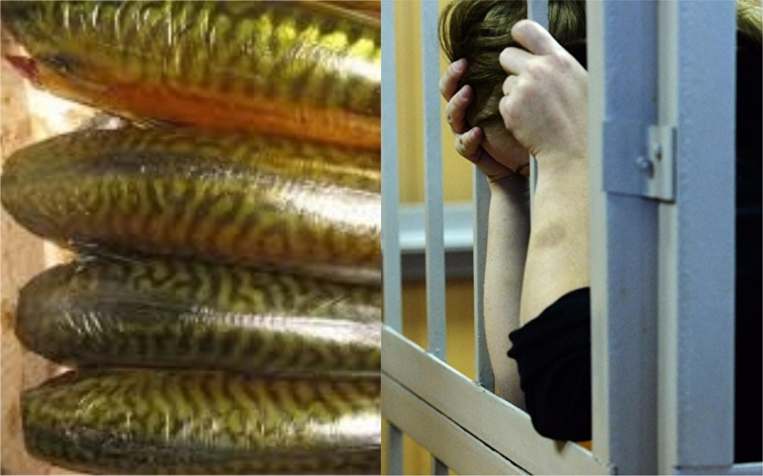 Массовое отравление рыбой во Львове: продавщице грозит немалый срок заключения Массовое отравление рыбой во Львове: продавщице грозит немалый срок заключения