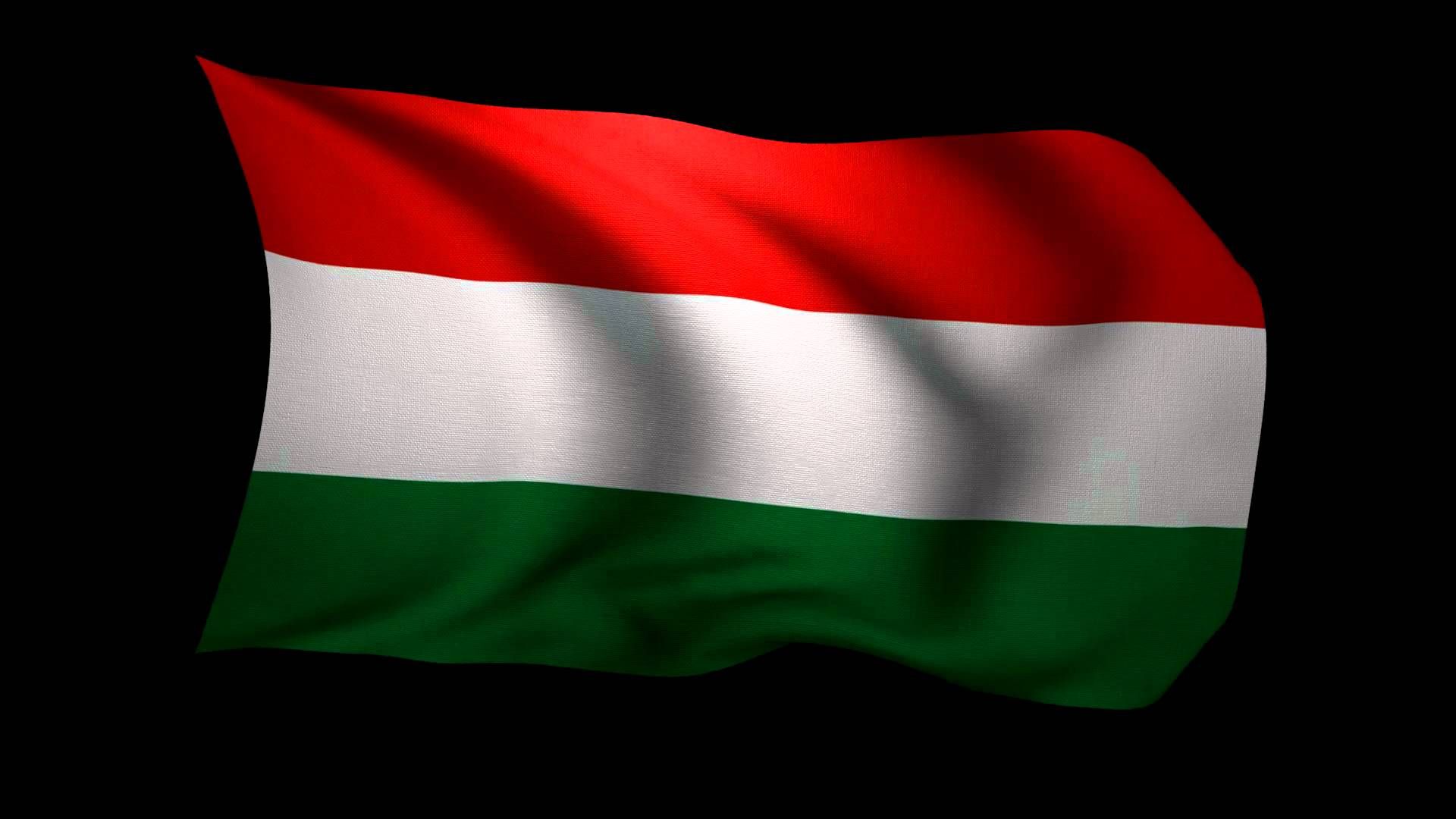 Нардеп влучно зреагував на напади Угорщини: Світ божеволіє