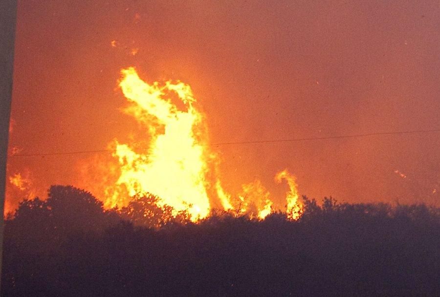 Причина возгорания боеприпасов в Винницкой области пока не установлена, – ГСЧС Причина возгорания боеприпасов в Винницкой области пока не установлена, – ГСЧС