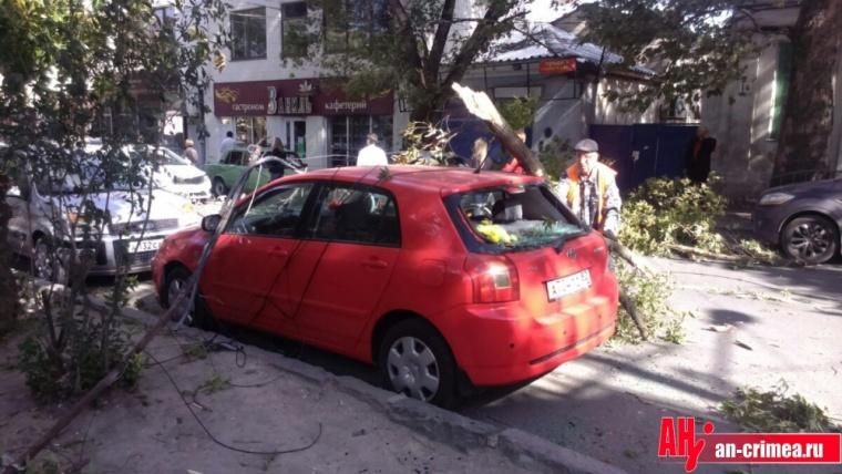 Сильный ветер бушевал в Симферополе: опубликовали фото Сильный ветер бушевал в Симферополе: опубликовали фото