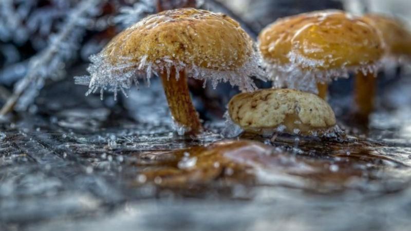 Погода 28 вересня у Києві заморозки - на півдні та сході України шторм Погода 28 вересня у Києві заморозки - на півдні та сході України шторм