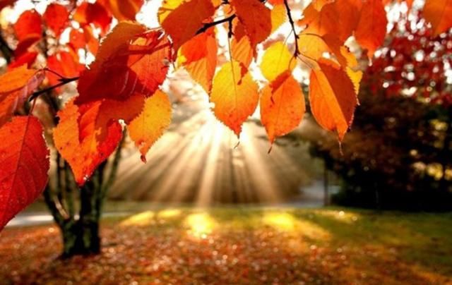 Погода 29 сентября в Украине: сухо и солнечно Погода 29 сентября в Украине: сухо и солнечно