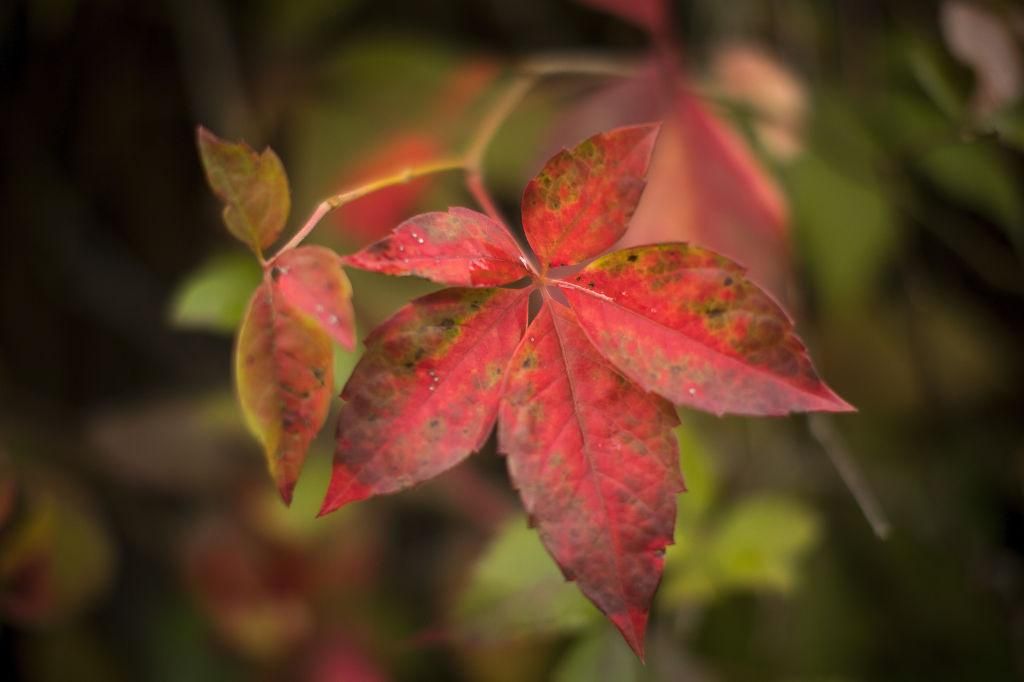 Погода на 2 октября в Украине: прогноз погоды от синоптиков Погода на 2 октября в Украине: прогноз погоды от синоптиков