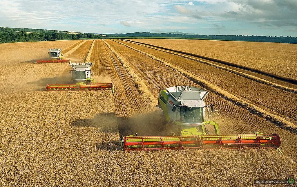 Міністром АПК може стати "найгірший губернатор" Куліч Міністром АПК може стати "найгірший губернатор" Куліч