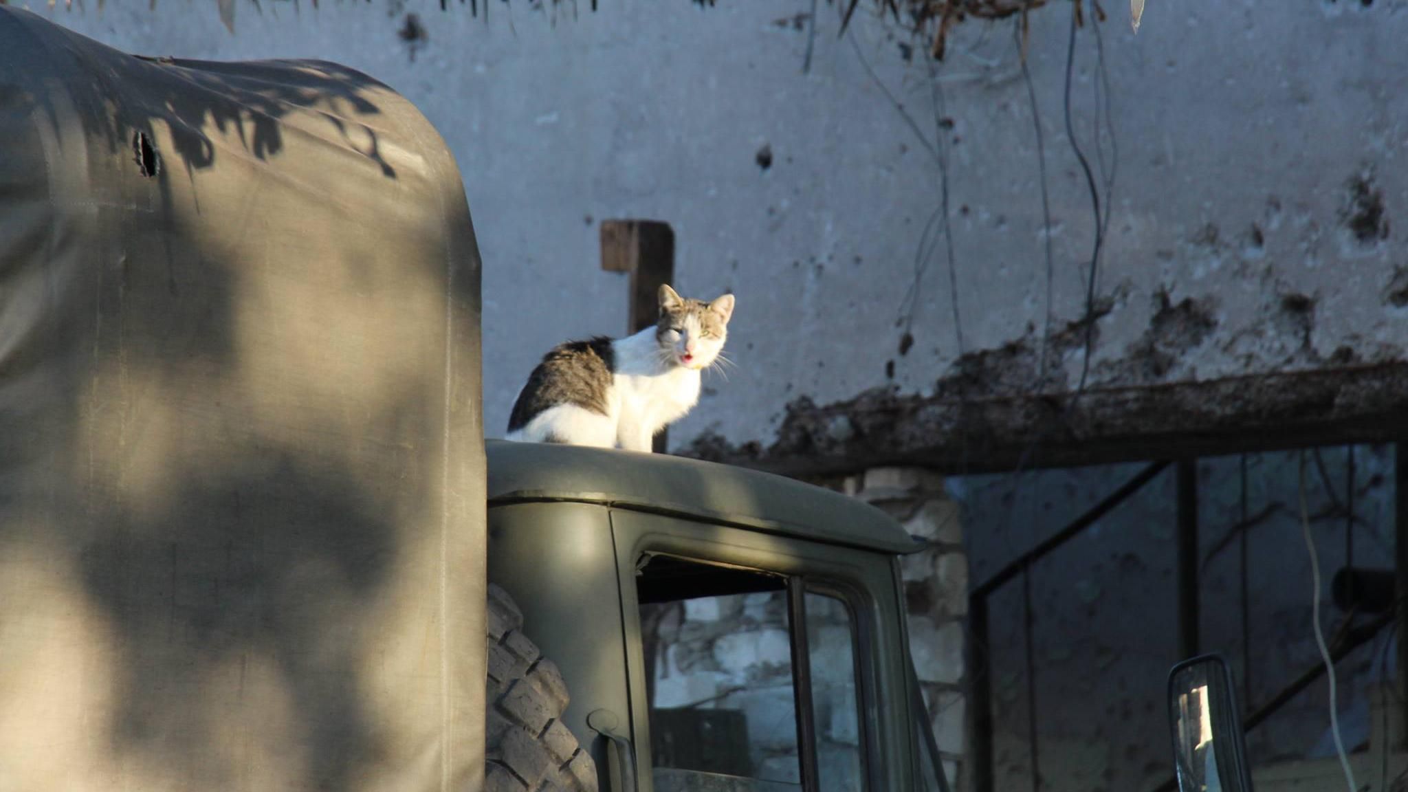 "Гарно тут, на Донбасі", – у мережі показали зворотній бік наслідків війни "Гарно тут, на Донбасі", – у мережі показали зворотній бік наслідків війни