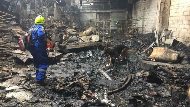 На підприємстві під Києвом спалахнула пожежа: є жертва