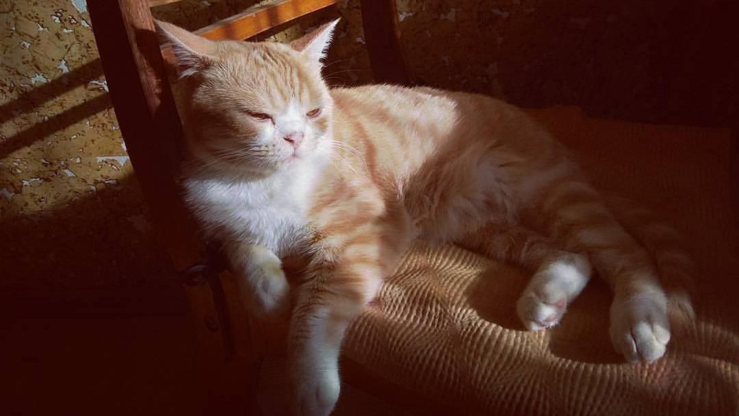 Синоптик рассказала, когда ощутимо потеплеет Синоптик рассказала, когда ощутимо потеплеет