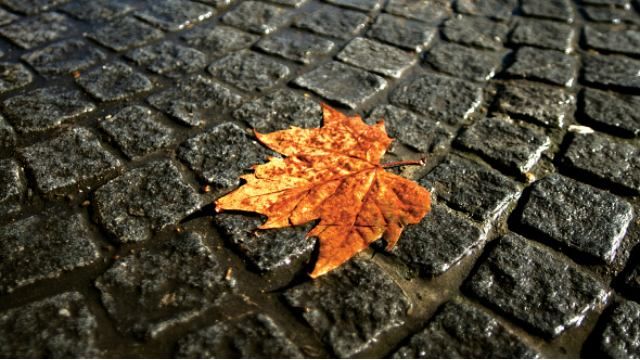 Погода 3 октября в Украине: холод с дождями Погода 3 октября в Украине: холод с дождями