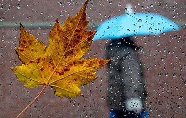 Прогноз погоди 4 жовтня в Україні: частково осінні дощі