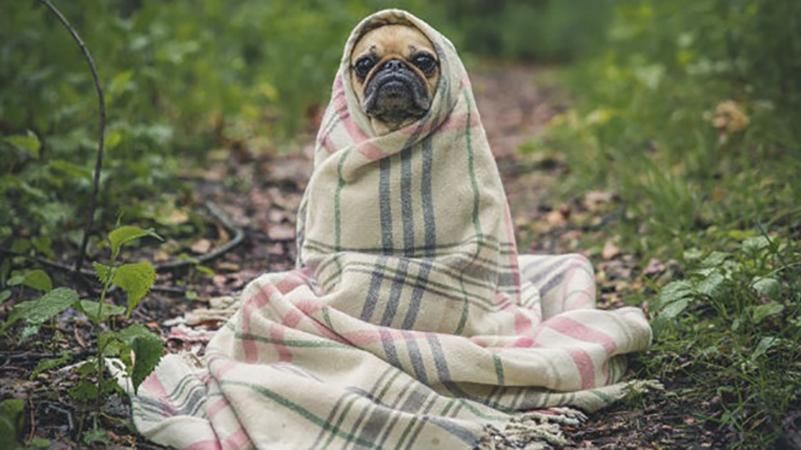 Українців попередили про заморозки Українців попередили про заморозки