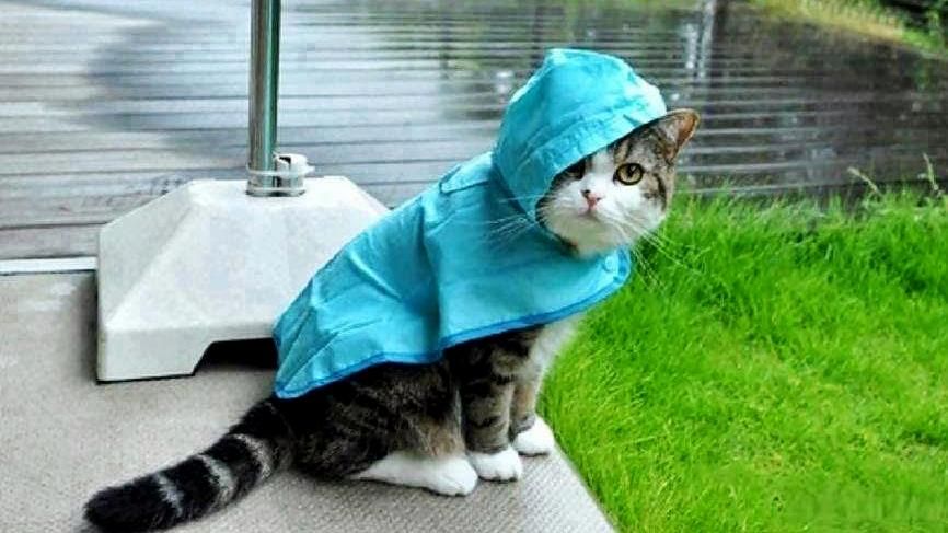 Погода на 5 жовтня в Україні від синоптиків - прогноз Погода на 5 жовтня в Україні від синоптиків - прогноз