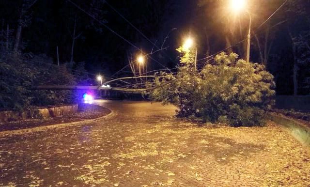 Ураган во Львове 6 октября натворил бед - фото