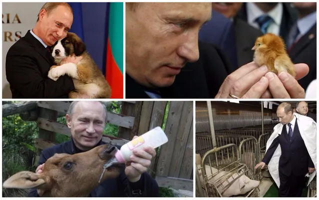 Путін і світ тварин